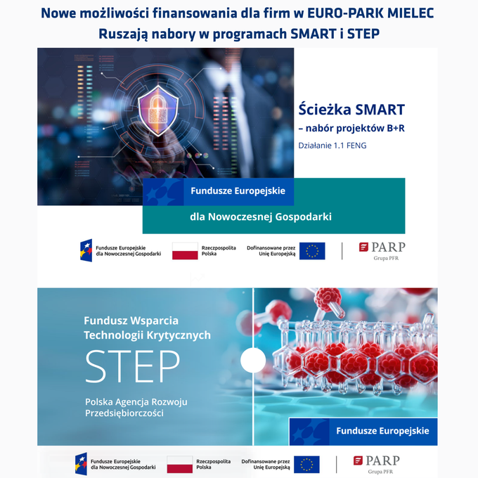 grafika SMART I STEP